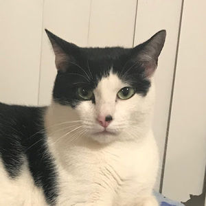 Meet your Posher, Juanys